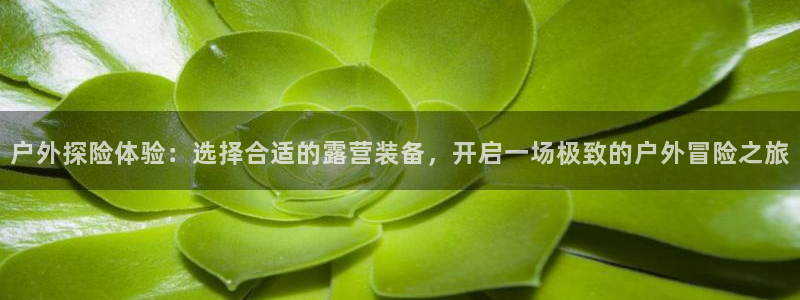 利记官网开户