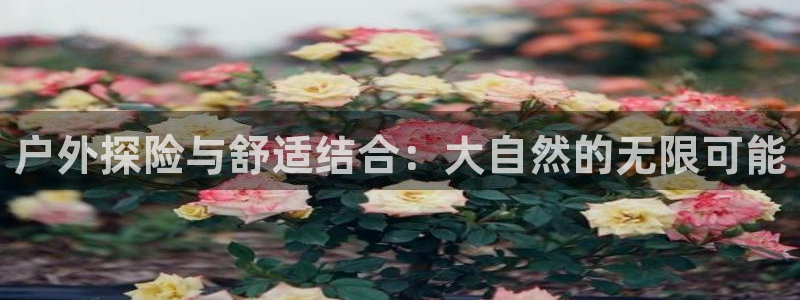 利记手机官网