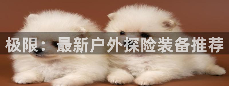利记买球官网