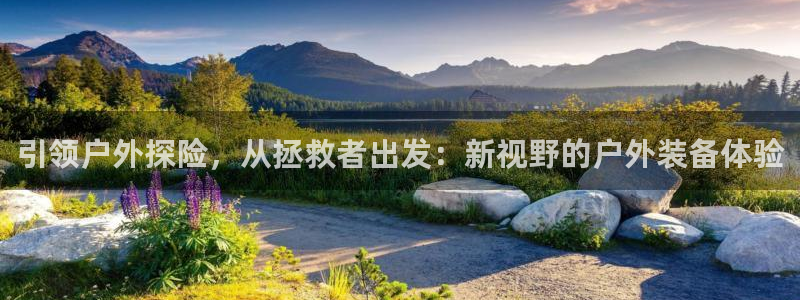 利记正式官网