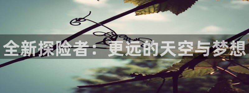 利记官网葡京投注网址
