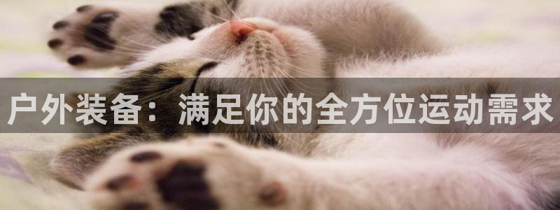 利记sbobet官网