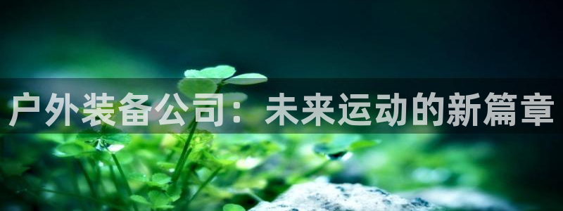 香港利记集团官网招聘