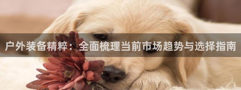 利记体育app官网