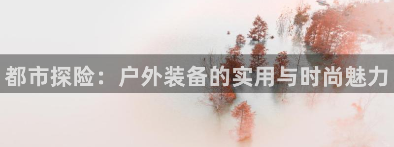 林利记官网
