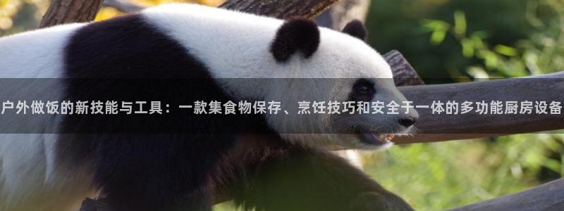 利记彩票官网wx678 com