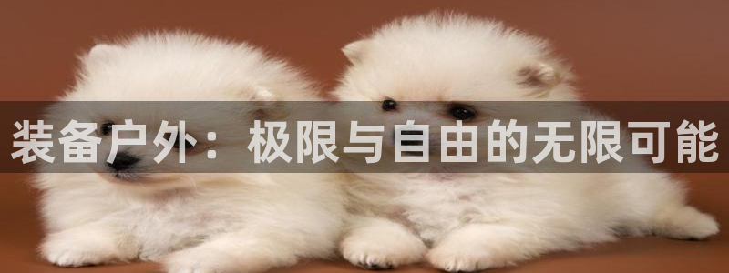 sbobet利记官网登录入口