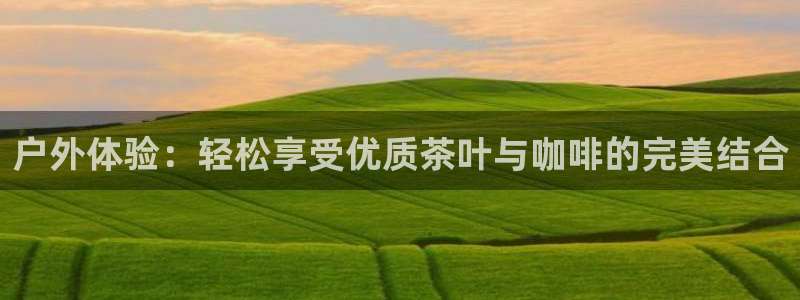 利记二手车行官网