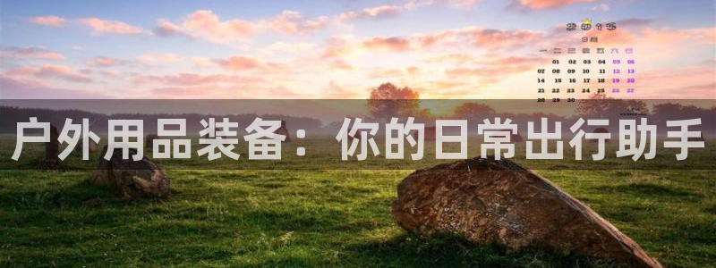 利记游戏开户ysb体育官方官网