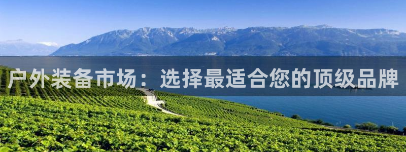 利记官网行业领导者