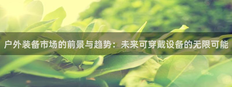 利记官网平台