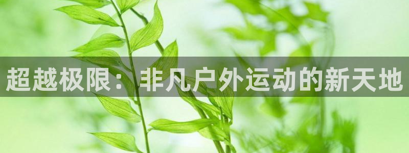 利记坊官网注册