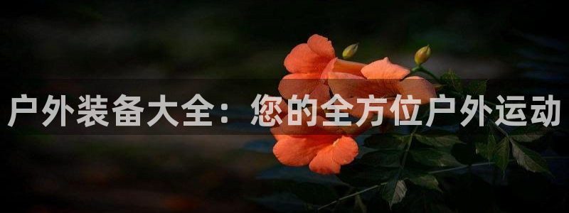 利记bet官网登录入口