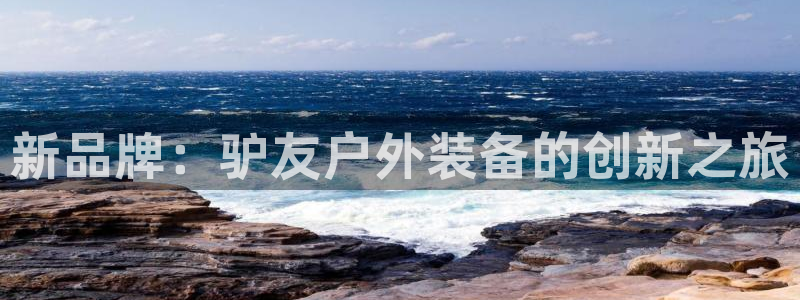 利记官网入口最新版