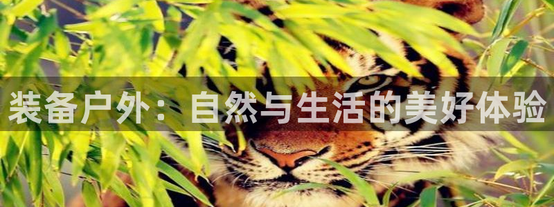 利记广告联盟官网