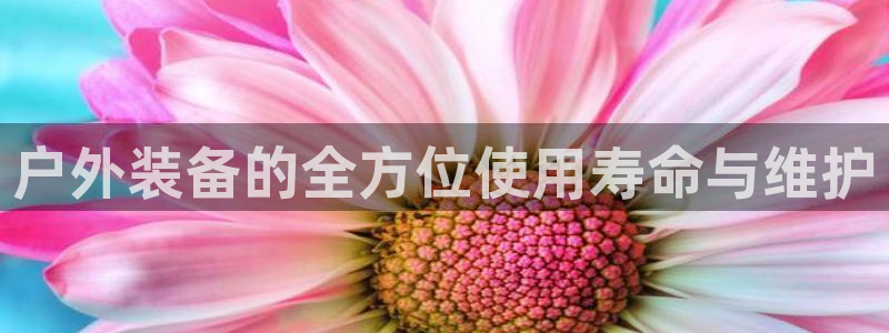 利记官网备用网址