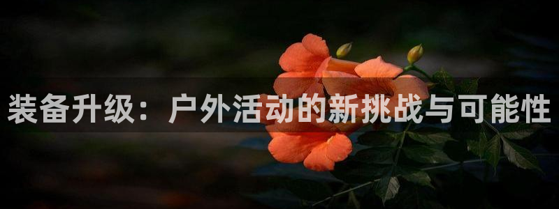 利记彩票官网hd71