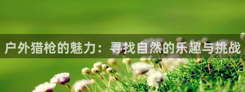 利记手机官网入口