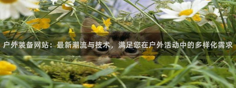 利记娱乐会员金钻官网