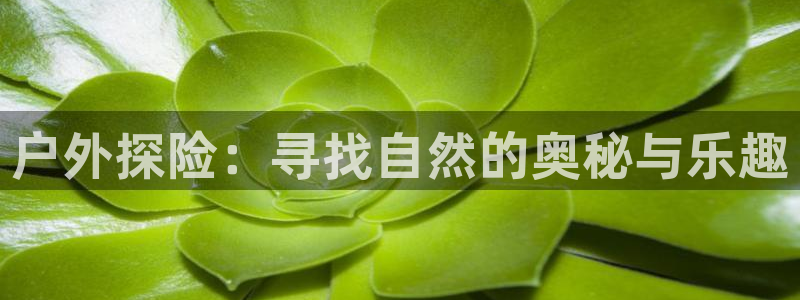 利记体育官网地址