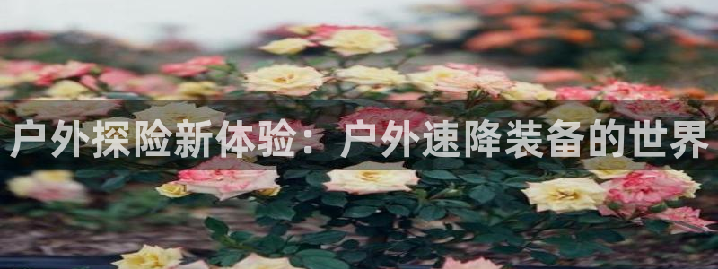 香港利记集团官网招聘