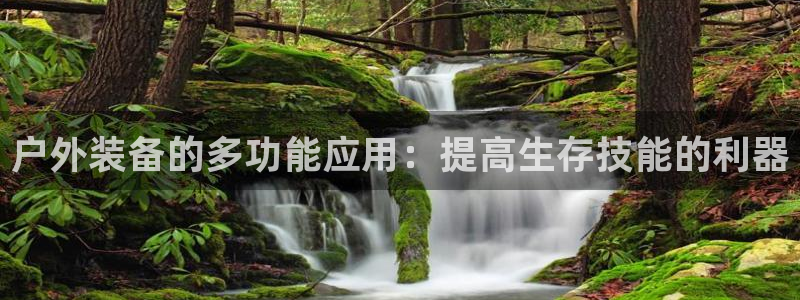 香港利记集团官网