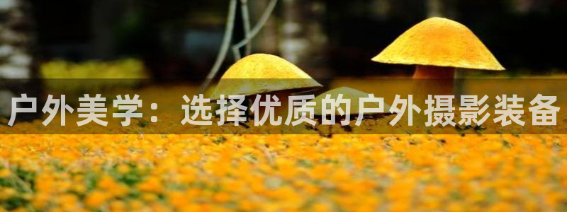 利记官网app下载网址