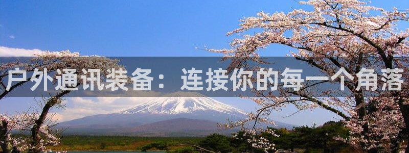 利记app官网真人游戏