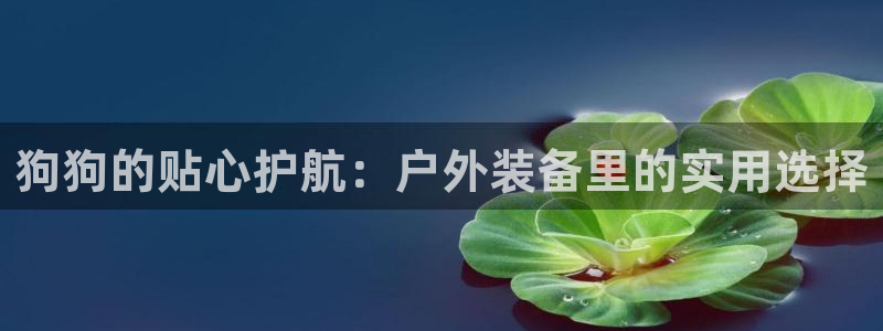 利记sbobet官网电脑版