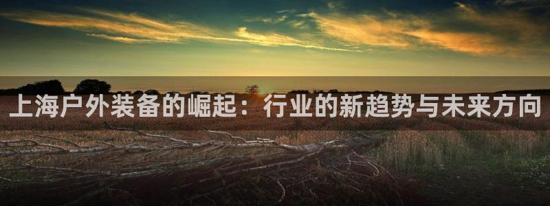 利记sbobet官网电脑版