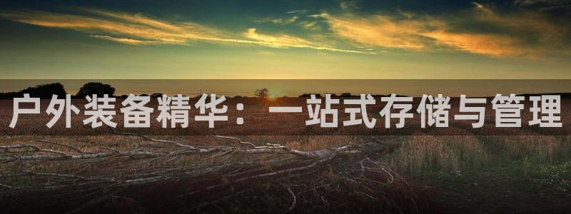 利记彩票官网wx678 com