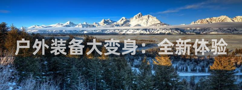 香港利记集团官网旗舰店