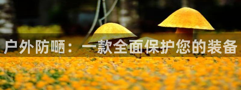 利记官网app下载网址日博官网网址