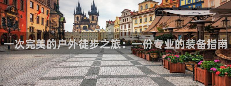 利记官网是真的吗