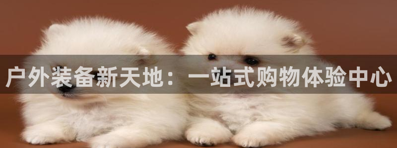 利记平台官网首页