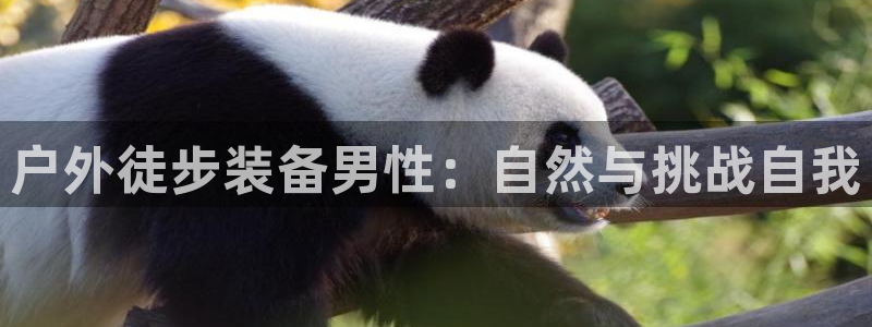 利记体育投注官网