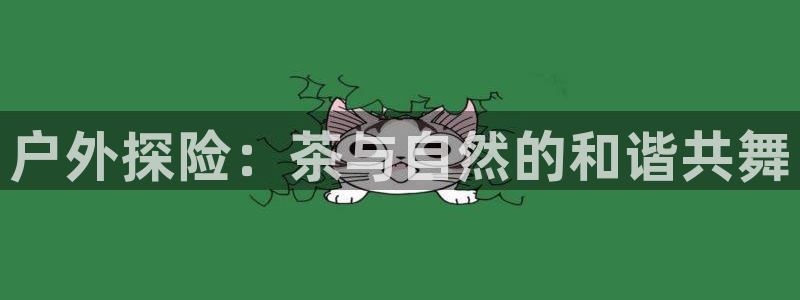 利记科技有限公司官网