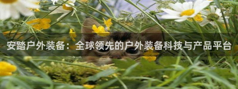利记官网平台入口