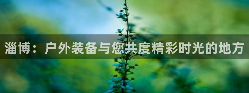 利记官网是真的吗