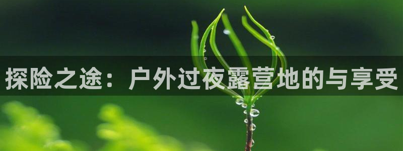 利记投注平台官网