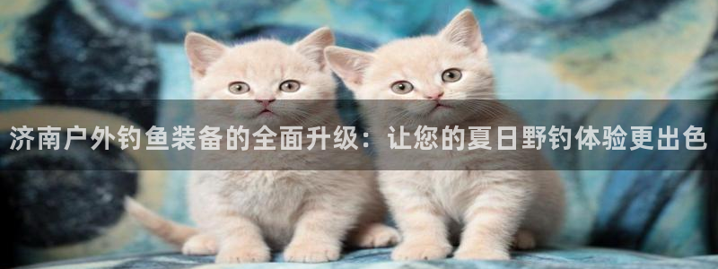 利记彩票官网hd71