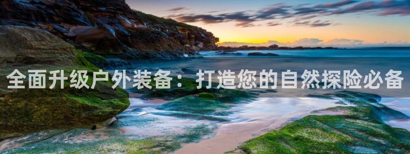 利记官网注册网