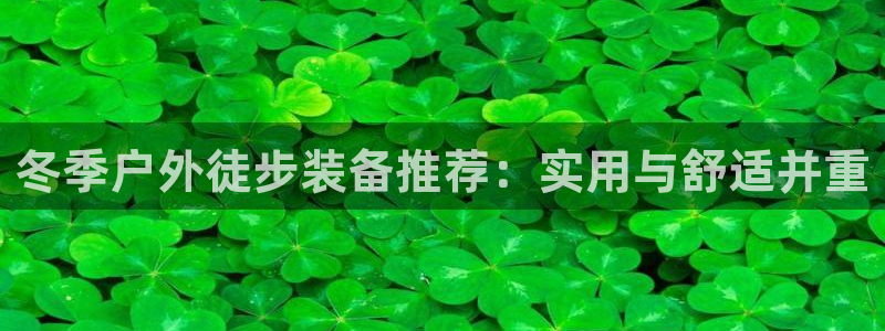 利记官网入口最新版