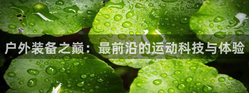 大利来记官网